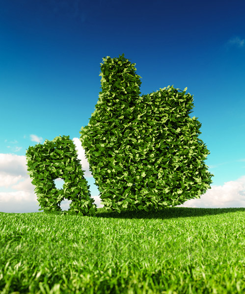 Green foliage and trees representing sustainable environment